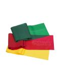 THERABAND Resistance Bands Set Professional Non-Latex Elastic Band For Upper  Lower Body Exercise Strength Training without Weights Physical Therapy Pilates Rehab Yellow  Red  Green Beginner - Buy Online on GoSupps.com