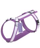 STUCH Dog Harness - Adjustable Padded Nylon Harness for Small Medium & Large Dogs - Purple (Large) - Buy Online on GoSupps.com