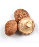 Shiitake Mushroom 2kg - Buy Online on GoSupps.com