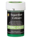 Sugarflair Spring Green Food Colouring Paste - 25g | Highly Concentrated for Sugar Pastes, Buttercream, Royal Icing | Subtle Dye - Buy Online on GoSupps.com