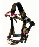 AMKA Decorative Halter - COB Show Bridle & Driving Halter with Brass Fittings | International Shipping - Buy Online on GoSupps.com
