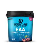 BODYLAB24 EAA essential amino acids cherry 360g 8 essential amino acids high contain all BCAA & EAA plus vitamin B6 EAA powder delicious fruity in taste cherry 360 g (1 Pack) - Buy Online on GoSupps.com