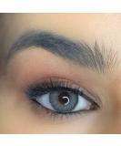 Famecolors Contour Gray Daily Colored Contact Lenses - Natural Gray-Blue Opaque & Non-Prescription - 5 Pairs - Buy Online on GoSupps.com