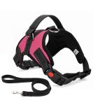 Musonic No Pull Dog Harness Breathable Adjustable Comfort Free Lead Included for Small Medium Large Dog Best for Training Walking S Pink S (Pack of 1) Pink - Buy Online on GoSupps.com