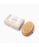 LA SALT CO Dry Brushing Body Brush - Exfoliating Scrubber for Dry Skin - Plant-Based Sisal Bristles - Buy Online on GoSupps.com
