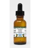 Terravita Detox Support Glycerite Liquid Extract - Chocolate Flavor (1 oz) | Boost Your Wellness | International Shipping Available - Buy Online on GoSupps.com