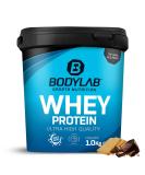 Buy Bodylab24 Whey Protein Powder Chocolate Cookie 1kg | International Shipping Available - Buy Online on GoSupps.com