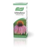 A Vogel Echinaforce Drops 50ml (Pack of 6) - Buy Online on GoSupps.com
