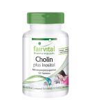 Fairvital Choline Bitartrate & Inositol | High Dose Vegan Supplement - 100 Tablets for Enhanced Cognitive Function - Buy Online on GoSupps.com