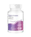 Nattokinase 100mg | 4-Month Supply | 2000 FU per Tablet | 120 Vegan Tablets | High Dosage | Vitamintrend  - Buy Online on GoSupps.com