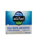 Wild Planet White Anchovies Lightly Salted in Water -- 4.4 oz - Buy Online on GoSupps.com