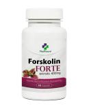 Forskolin Forte Extract 400 mg - 60 Capsules | Indian Nettle for Fast & Healthy Weight Loss - Buy Online on GoSupps.com
