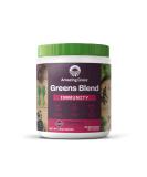 Amazing Grass Greens Blend Superfood for Immune Support: Super Greens Powder Smoothie Mix with Organic Spirulina  Chlorella  Beet Root Powder  Digestive Enzymes & Probiotics  Original  30 Servings - Buy Online on GoSupps.com