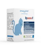 Dynamopet Dynamo F Cats - 20 Delicious Treats (2.5g) | International Shipping Available - Buy Online on GoSupps.com