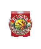 Badger Organic Sore Muscle Rub with Cayenne & Ginger - 2 oz for Pain Relief - Buy Online on GoSupps.com