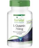 Fairvital L-Glutamine Capsules 750mg | High Dose Vegan Amino Acid | 120 Free Form Capsules - International Shipping - Buy Online on GoSupps.com