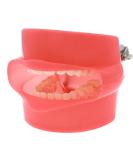 Dental Teaching Tooth Extraction Model | Full Mouth Simulation with Detachable Teeth - Buy Online on GoSupps.com