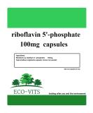 R-5-P Riboflavin-5-Phosphate 100mg (240 caps) Coenzymated Vitamin B2 riboflavin - Buy Online on GoSupps.com