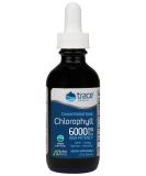 Trace Minerals Ionic Chlorophyll | Immune Boost & Antioxidant | Mint Flavored, 2.0oz 6000mg - Buy Online on GoSupps.com