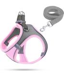 Shop XXS Pink Dog Harness & Puppy Tableware - Bright Leash Dishes for Small Dogs & Cats | International Shipping Available - Buy Online on GoSupps.com