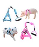 Woyous Adjustable 2-Part Animal Dishes Set for Small Pets - Pink & Blue - Ideal for Pigs Dogs and Rabbits - Perfect for Walking & Playing - Buy Online on GoSupps.com