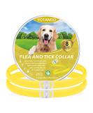 YOTANGO Dog Collar Repellent 2-Pack Dog Collar Repellency Slow Release Pleasant Aroma Waterproof - Yellow - Buy Online on GoSupps.com