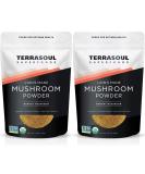 Terrasoul Superfoods Organic Lion's Mane Mushroom Powder - 4:1 Extract, 11 oz - Buy Online on GoSupps.com
