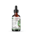 Hydrastis Canadensis Q - Homeopathic Goldenseal Root Extract | Immune Support Tincture - 2 FL OZ - Made in USA - Buy Online on GoSupps.com