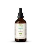 Red Root B120 Alcohol-Free Herbal Extract Tincture | Super-Concentrated 4 fl oz | New Jersey Tea Ceanothus Americanus | Pack of 1 - Buy Online on GoSupps.com