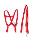 Nicoone Bird Harness and Leash for Macaw Cockatoos Adjustable Bird Leash for Parrots - Buy Online on GoSupps.com