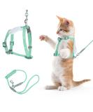 Adjustable Tiesome Cat Dishes with Leash & Collar Set - Color Gradient Kitten Dishes for Outdoor Walks (Green) | International Shipping Available - Buy Online on GoSupps.com