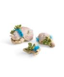 biOrb Plate Corals & Button Polyps Set Record corals - Buy Online on GoSupps.com