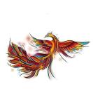 Dopetattoo Phoenix Birds Temporary Tattoos - 6 Sheets, 3.7 X 3.7 Inch, Neck/Arm/Chest for Women, Men, Adults - Flying Legends Fire Bird Design - Buy Online on GoSupps.com