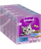 Whiskas Adult 1+ Dry Cat Food Tuna - 5x800g Packs | Premium Dry Food for Adult Cats - Available in Various Packaging - Buy Online on GoSupps.com