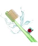 Smart Miswak ionic toothbrush with Siwak powder. Brush your teeth with or without toothpaste. - Buy Online on GoSupps.com