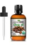 Mayan's Secret USDA Organic Pure Clove Stem Essential Oil - 1oz Natural Aromatherapy Oil for Wellness & Healing - Buy Online on GoSupps.com