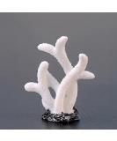 Movoja 2 Pieces Aquarium Decoration Corals | Fresh & Salt Water Coral Decor | White Coral for Aquaristics - Buy Online on GoSupps.com