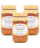 Mrs Darlington's Orange and Ginger Marmalade - 340g - Pack of 3 - Buy Online on GoSupps.com