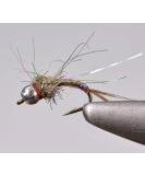 Region Fishing Tungsten Bead Rainbow Warrior Midge Nymph Fly | 12 Flies | Mustad Signature Hooks Assortment - Buy Online on GoSupps.com