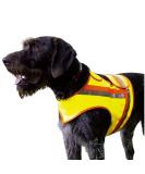 Buy Reflective Dog Warning Vest - Yellow Orange Safety Gear for Night Walks & Hunting - Buy Online on GoSupps.com