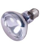 Trixie 76008 Neodymium Heat Spot Lamp - 100W ( 80mm x 108mm) | International Shipping Available - Buy Online on GoSupps.com