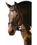 Henri de Rivel Black Padded Raised Dressage Bridle with Crank Noseband for Horse - Buy Online on GoSupps.com