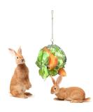 Fewao Stainless Rabbits Feeding Grass Ball Sphere Treat Hay Feeder Dispenser Hanging Ball Rabbit Chinchilla Guinea Pig Chicken Toys for Small Animals - Buy Online on GoSupps.com