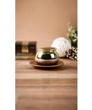 Daandanbit Snail Firming Cream 1.69 FL OZ | Best Anti-Aging Cream for Youthful Skin - Shop Internationally - Buy Online on GoSupps.com