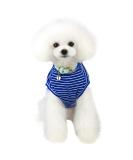 Shop Cute Striped Pet Sweater for Small Dogs - Cozy Puppy Clothes in Pink Red Blue & Gray | Ideal for 1.2-9.0 kg | International Shipping Available! - Buy Online on GoSupps.com