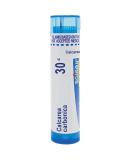 Boiron Calcarea Carbonica 30C, 80 Pellets, Homeopathic Medicine for Cradle Cap 30c 80 Count (Pack of 1) - Buy Online on GoSupps.com