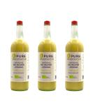 Pure Organic Ginger with Lemon - High-Quality Peruvian 100% Organic No Sugar or Additives (DE- KO-005) 3x1000ml - Buy Online on GoSupps.com