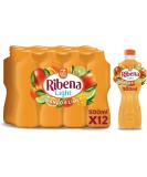 Ribena Fruit Juice Drink 500ml x 12 (Mango & Lime) - Buy Online on GoSupps.com