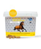 Nutrilabs IROSTOL 2 kg Pellets - Premium Nutritional Supplement for Horses | Vitamins Biotin MSM & Minerals for Healthier Skin & Fur - Buy Online on GoSupps.com