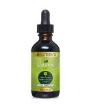 Go Nutrients Uriva - Uric Acid Support Supplement for Muscle & Joint Health - Gluten Free | 60ml Liquid Drops - Buy Online on GoSupps.com